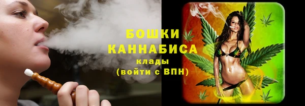 трава Арсеньев