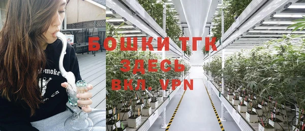 трава Арсеньев